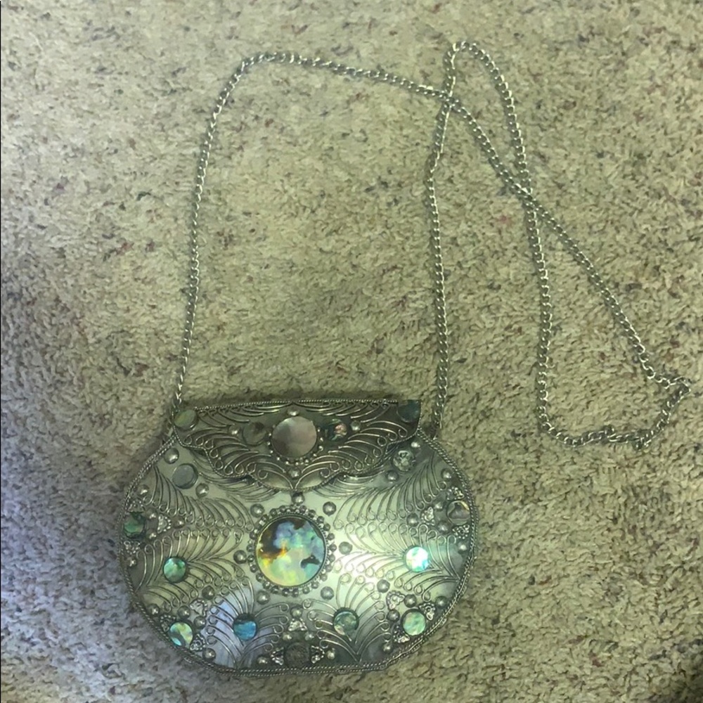 Abalone shell titanium purse